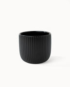 Tazas de café Senita (set de 4) 250 ml