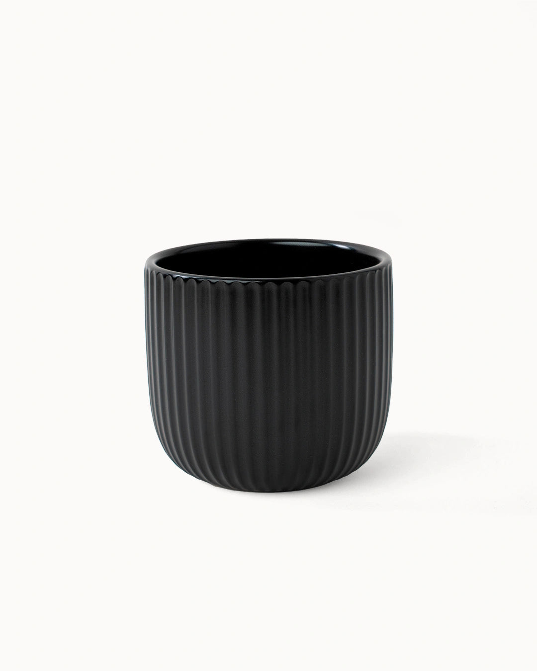 Tazas de café Senita (set de 4) 250 ml