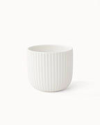 Tazas de café Senita (set de 4) 250 ml