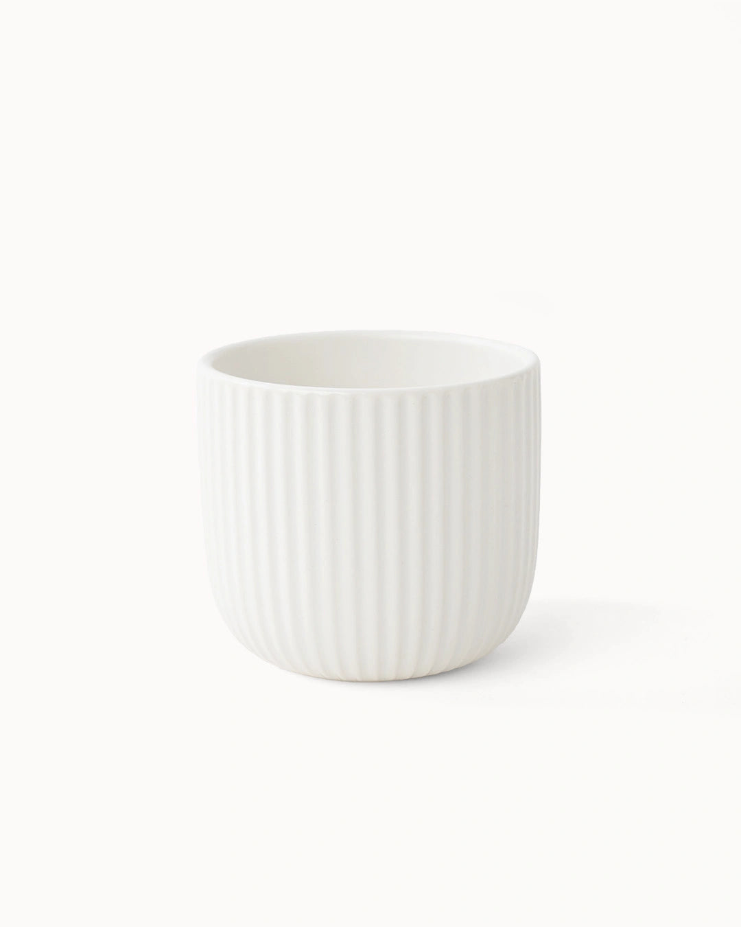 Tazas de café Senita (set de 4) 250 ml