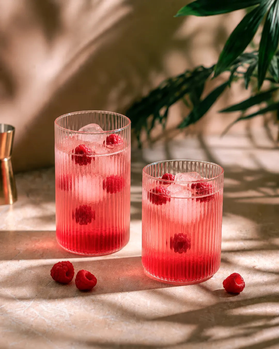 Vasos Senita (set de 6) 430 ml